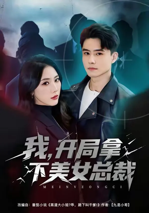 开局我被美女总裁倒追全集完整版