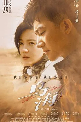 乌海派车宝