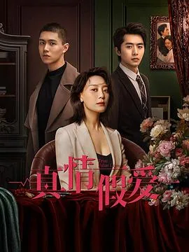 真情假爱剧情介绍分集