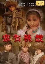 家有辣嫂电影高清完整版