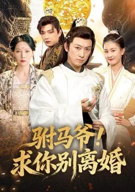 驸马爷求你别离婚是什么小说