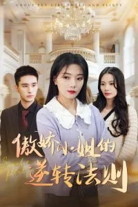 傲娇小姐惹不起