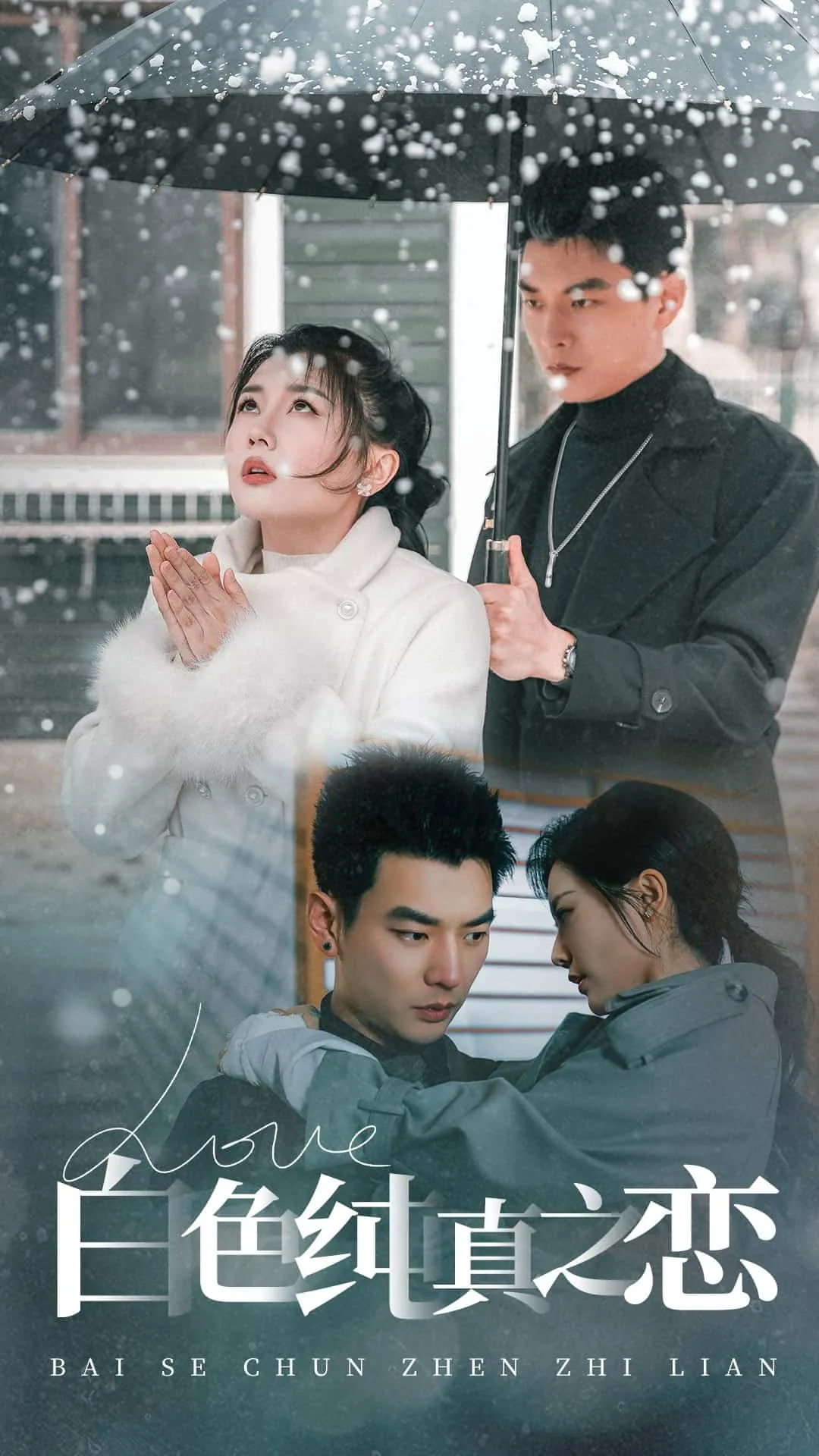 白色纯真之恋免费观看2023年上映时间