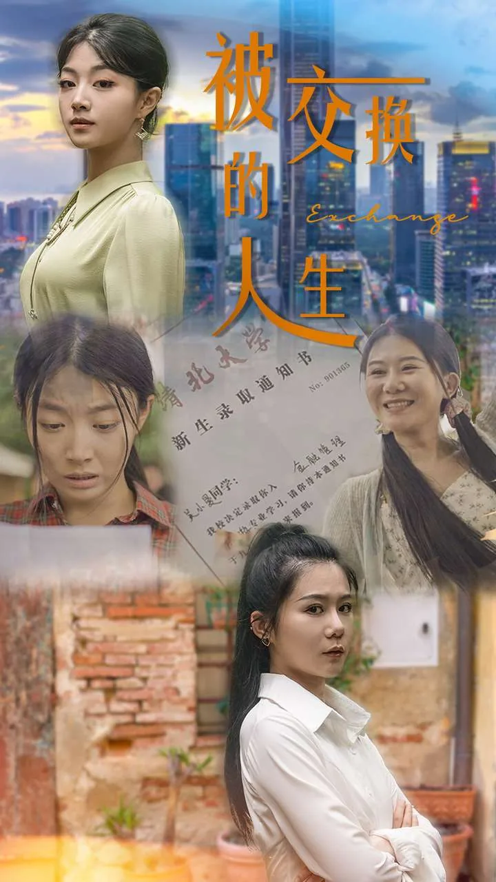 被交换的人生电视剧在线看