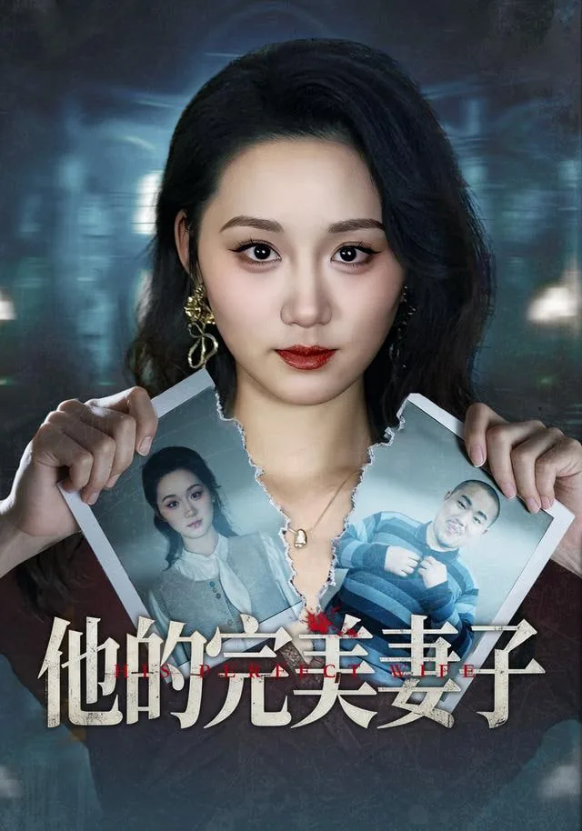 他的完美妻子欧美版