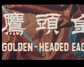 金头鹰图片