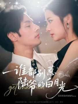 谁都别惹陆爷的白月光短剧免费观看