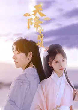 小说天降小媳妇