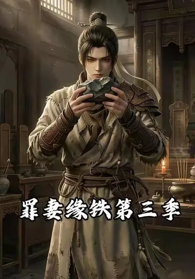 罪妻缘铁第三季