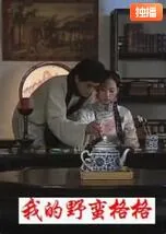 我的野蛮格格免费阅读